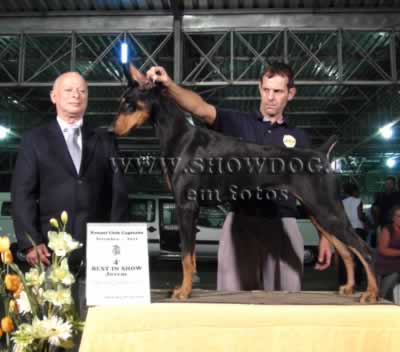 Clique sobre a foto para fechar